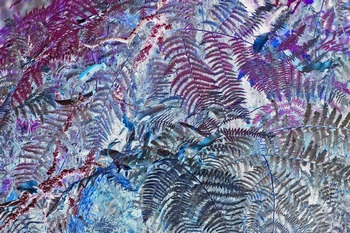 N 107E